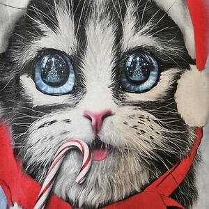 David Penfound Adult Large Christmas Kitty Tie Dye Tshirt 2013 Cat Magical Joy